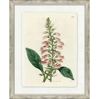 Wendover Art Group Large Antique Blush Floral I - Picture Frame Painting On Paper In Green;pink;cream