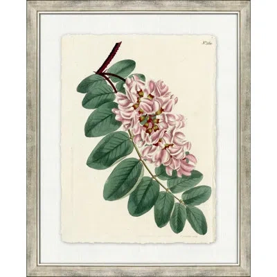 Wendover Art Group Large Antique Blush Floral Ii - Picture Frame Painting On Paper In Green;pink;cream