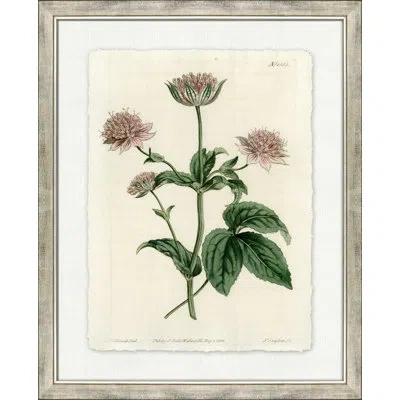 Wendover Art Group Large Antique Blush Floral Iii - Picture Frame Painting On Paper In Green;pink;ivory