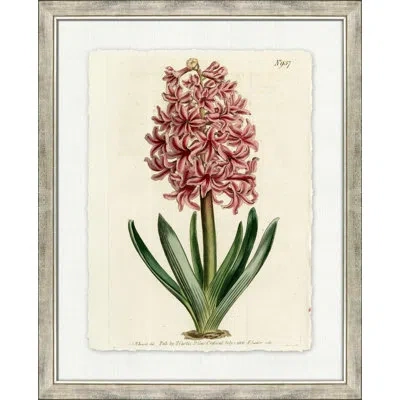 Wendover Art Group Large Antique Blush Floral V - Picture Frame Painting On Paper In Green;beige;pink