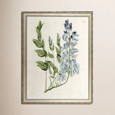 Wendover Art Group Large Blue Botanical Ii - Picture Frame Paiting On Paper In Blue;green;beige