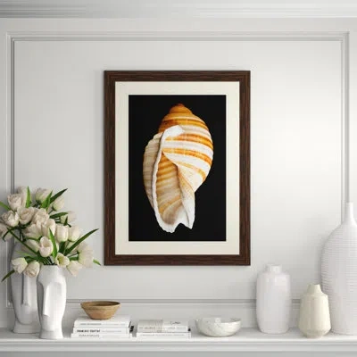 Wendover Art Group Large Shell 7 - Picture Frame Graphic Art In Black;white;orange