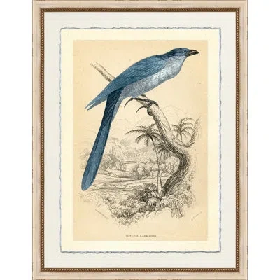 Wendover Art Group Lark Heel - Picture Frame Painting On Paper In Blue;gray;beige
