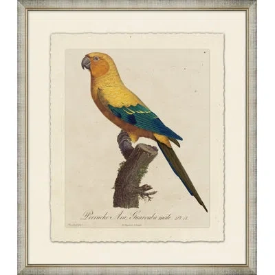 Wendover Art Group Le Perroquet 6 - Picture Frame Painting On Paper In Blue;brown;yellow