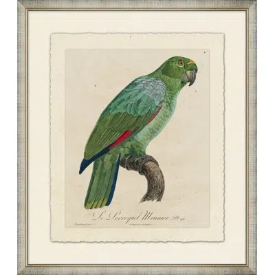 Wendover Art Group Le Perroquet 7 - Picture Frame Painting On Paper In Brown;green;beige