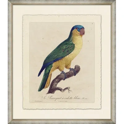Wendover Art Group Le Perroquet 9 - Picture Frame Painting On Paper In Green;beige;yellow