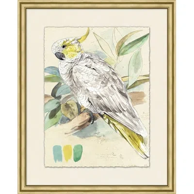Wendover Art Group Lewin's Parrots 1 - Picture Frame Painting On Paper In Green;yellow;ivory