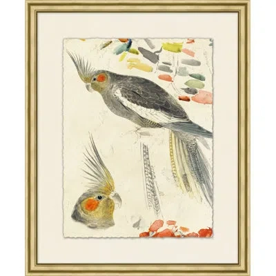Wendover Art Group Lewin's Parrots 2 - Picture Frame Painting On Paper In Gray;red;yellow