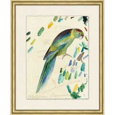Wendover Art Group Lewin's Parrots 6 - Picture Frame Painting On Paper In Green;yellow;teal