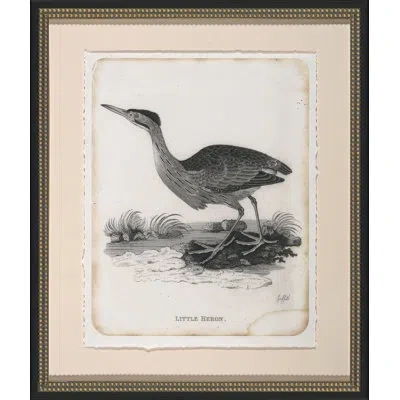 Wendover Art Group Little Heron - Picture Frame Painting On Paper In White;gray