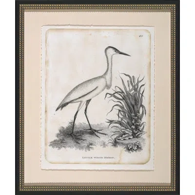 Wendover Art Group Little White Heron - Picture Frame Painting On Paper In White;gray