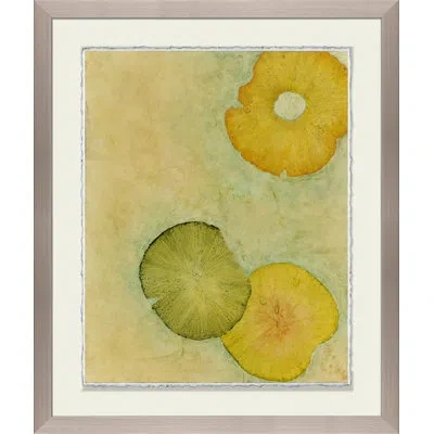 Wendover Art Group Lotus Lake I - Picture Frame Painting On Paper In Green;beige;yellow