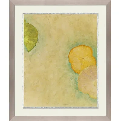 Wendover Art Group Lotus Lake Ii - Picture Frame Painting On Paper In Beige;yellow
