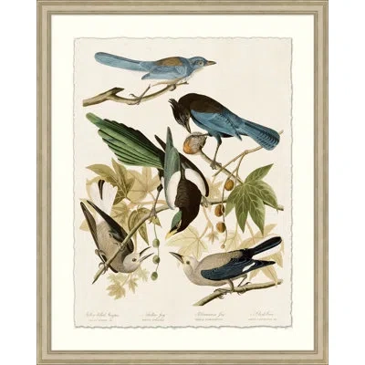 Wendover Art Group Magpie And Friends - Picture Frame Print In Multi