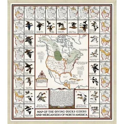 Wendover Art Group Map Of Diving Ducks - Picture Frame Graphic Art On Paper In Black;green;beige
