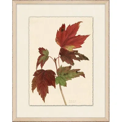 Wendover Art Group Maple Leaves 2 - Picture Frame Painting On Paper In White;green;red