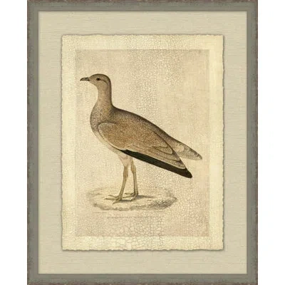 Wendover Art Group Marbled Bustard - Picture Frame Painting On Paper In Brown;beige