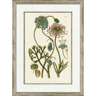Wendover Art Group Medium Antique Blush Floral Iv - Picture Frame Painting On Paper In Green;pink;ivory