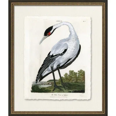 Wendover Art Group Medium White Crane - Picture Frame Painting On Paper In Black;white;green