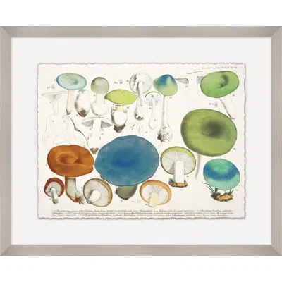 Wendover Art Group Modern Mushrooms 1 - Picture Frame Print On Paper In Green;orange