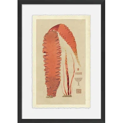 Wendover Art Group Modern Sea Grass V - Picture Frame Painting On Paper In Beige;orange