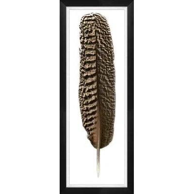 Wendover Art Group Mottled Peacock Feather 1 - Picture Frame Photograph On Paper In Black;brown;white