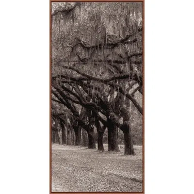 Wendover Art Group " Nature's Arch Triptych C " In Brown,gray