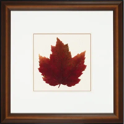 Wendover Art Group Nature Leaves I - Picture Frame Painting On Glass In Red;beige