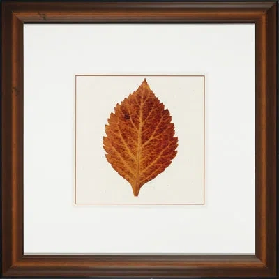 Wendover Art Group Nature Leaves Ii - Picture Frame Painting On Glass In Red;beige