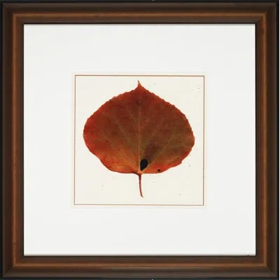 Wendover Art Group Nature Leaves Iv - Picture Frame Painting On Glass In Red;beige