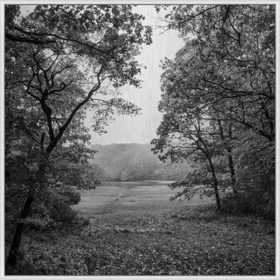 Wendover Art Group Nature Preserve By Lillian August - Floater Frame Photograph On Metal In Black;gray