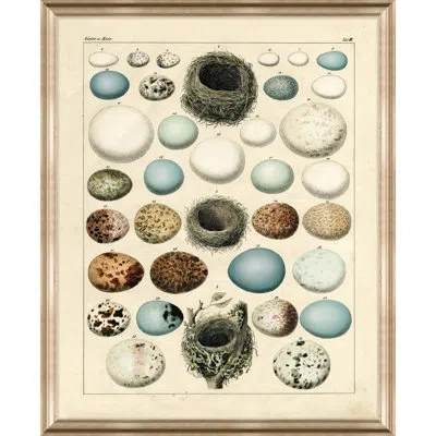 Wendover Art Group Nest And Eggs Ii - Picture Frame Graphic Art On Paper In Blue;brown;gray