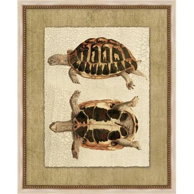Wendover Art Group Neutral Turtle 3 - Picture Frame Painting On Paper In Black;brown;beige
