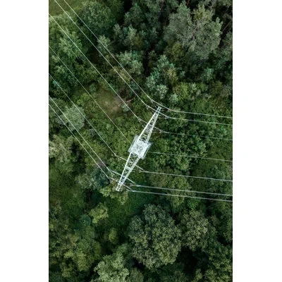 Wendover Art Group Obstructed Forest 2 By Thom Filicia - Unframed Photograph In White;green