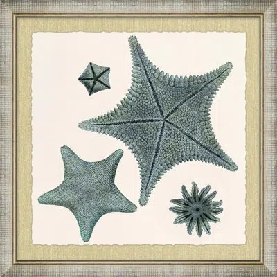 Wendover Art Group Ocean Jewel Collection 1 - Picture Frame Painting On Paper In Blue;green