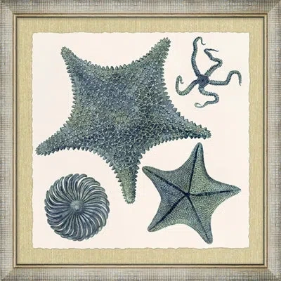 Wendover Art Group Ocean Jewel Collection 2 - Picture Frame Painting On Paper In Blue;green