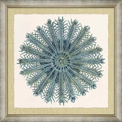 Wendover Art Group Ocean Jewel Collection 6 - Picture Frame Painting On Paper In Blue;green