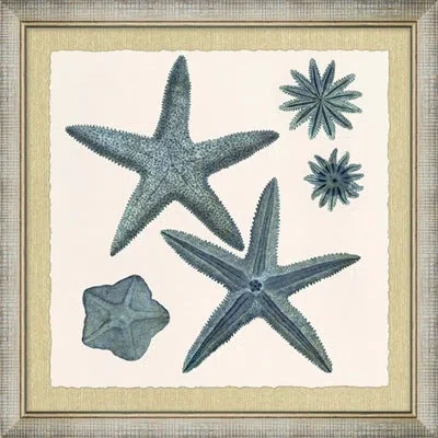 Wendover Art Group Ocean Jewel Collection 9 - Picture Frame Painting On Paper In Blue;green
