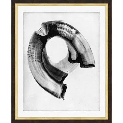 Wendover Art Group Oculus 1 By Thom Filicia - Picture Frame Painting On Paper In Black;white