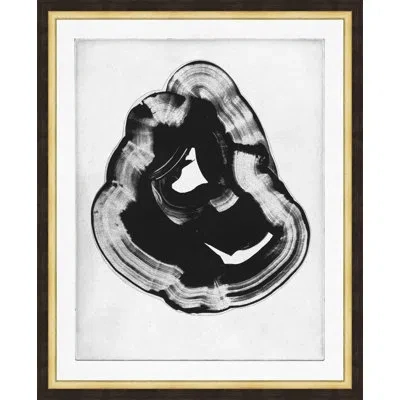 Wendover Art Group Oculus 4 By Thom Filicia - Picture Frame Painting On Paper In Black;white