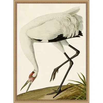 Wendover Art Group " Oiseau 2 " In Black,white,brown