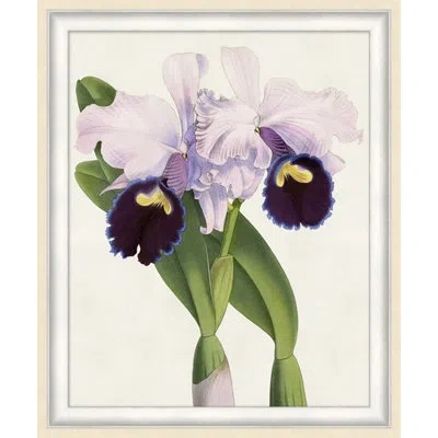 Wendover Art Group Orchid 3 - Picture Frame Print On Paper In Green;purple;ivory