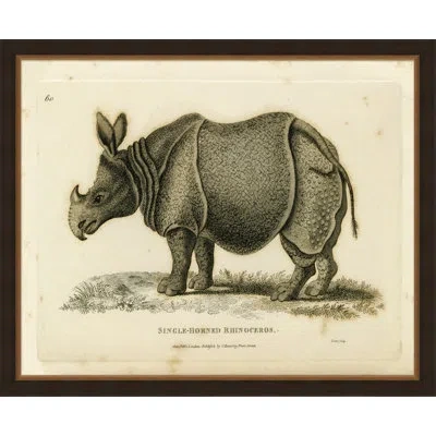 Wendover Art Group Oversized Antique Rhino - Picture Frame Painting On Paper In Gray;beige