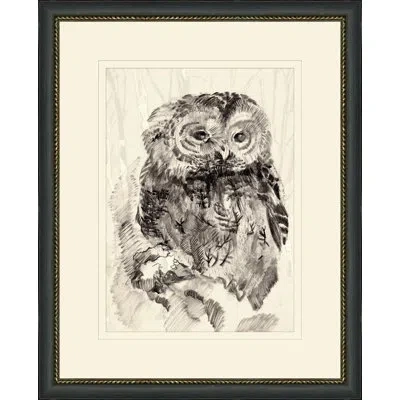Wendover Art Group Owl Sketch 2 - Picture Frame Drawing Print On Paper In Black