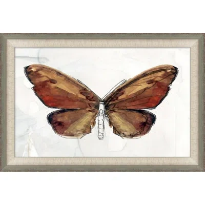 Wendover Art Group Painted Butterfly Diagram 1 - Picture Frame Painting In Brown;beige