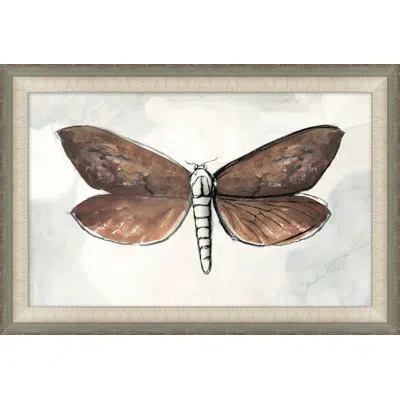 Wendover Art Group Painted Butterfly Diagram 2 - Picture Frame Painting In Black;brown