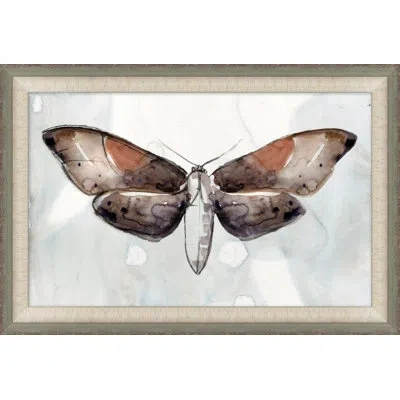 Wendover Art Group Painted Butterfly Diagram 3 - Picture Frame Painting In Brown;gray