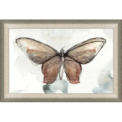 Wendover Art Group Painted Butterfly Diagram 4 - Picture Frame Painting On Paper In Brown