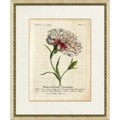 Wendover Art Group Painted Lady Carnation - Picture Frame Painting In Green;red;beige