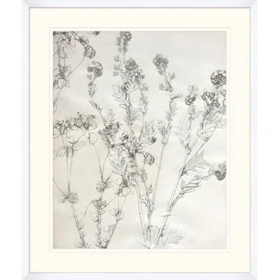 Wendover Art Group Painted Pressed Floral 1 - Picture Frame Painting On Paper In Black;gray